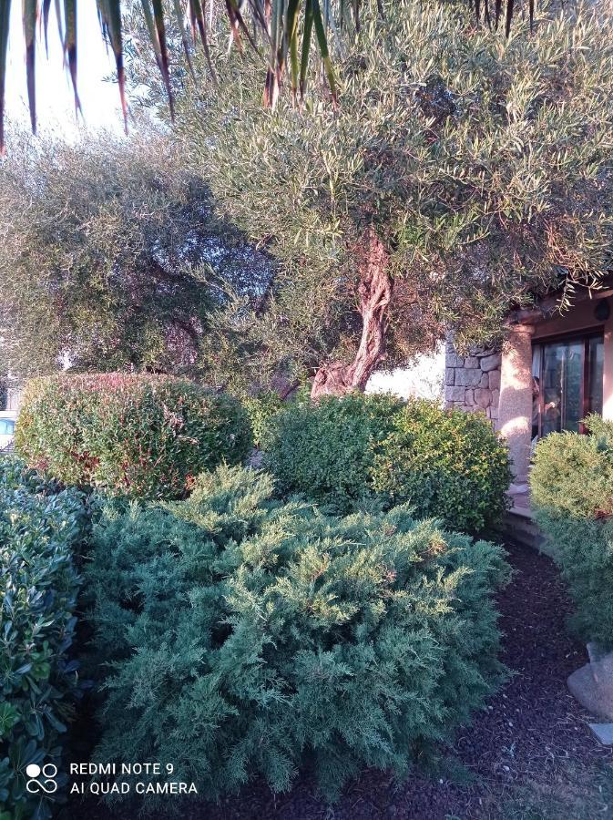 La Forma Dell'Acqua Bed & Breakfast Su Forti Exterior foto