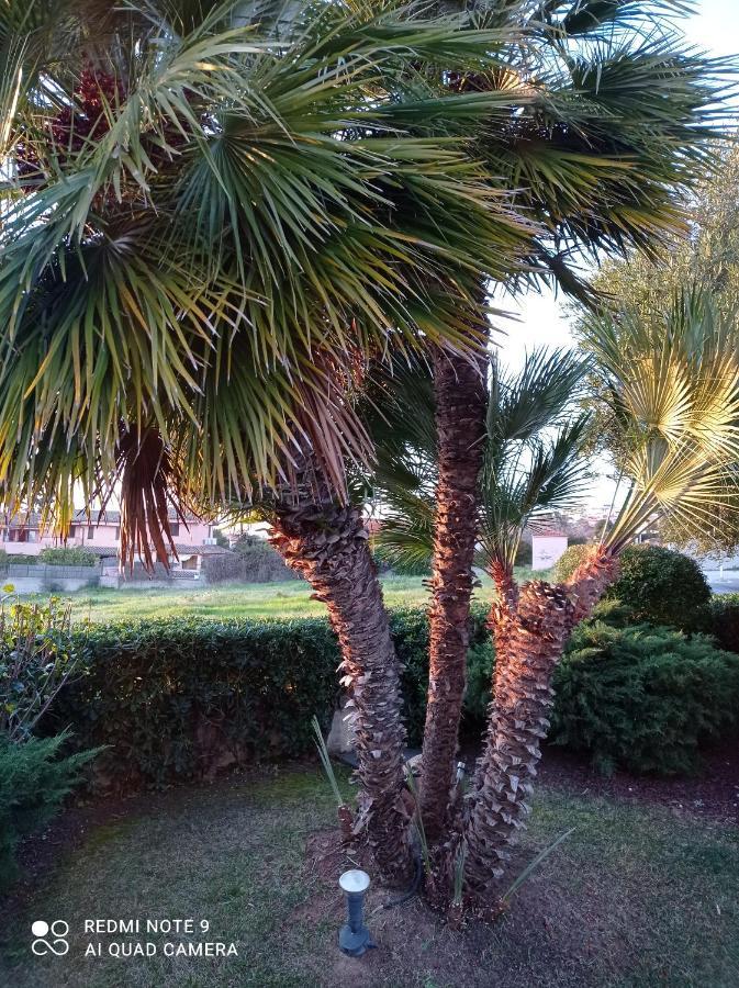La Forma Dell'Acqua Bed & Breakfast Su Forti Exterior foto